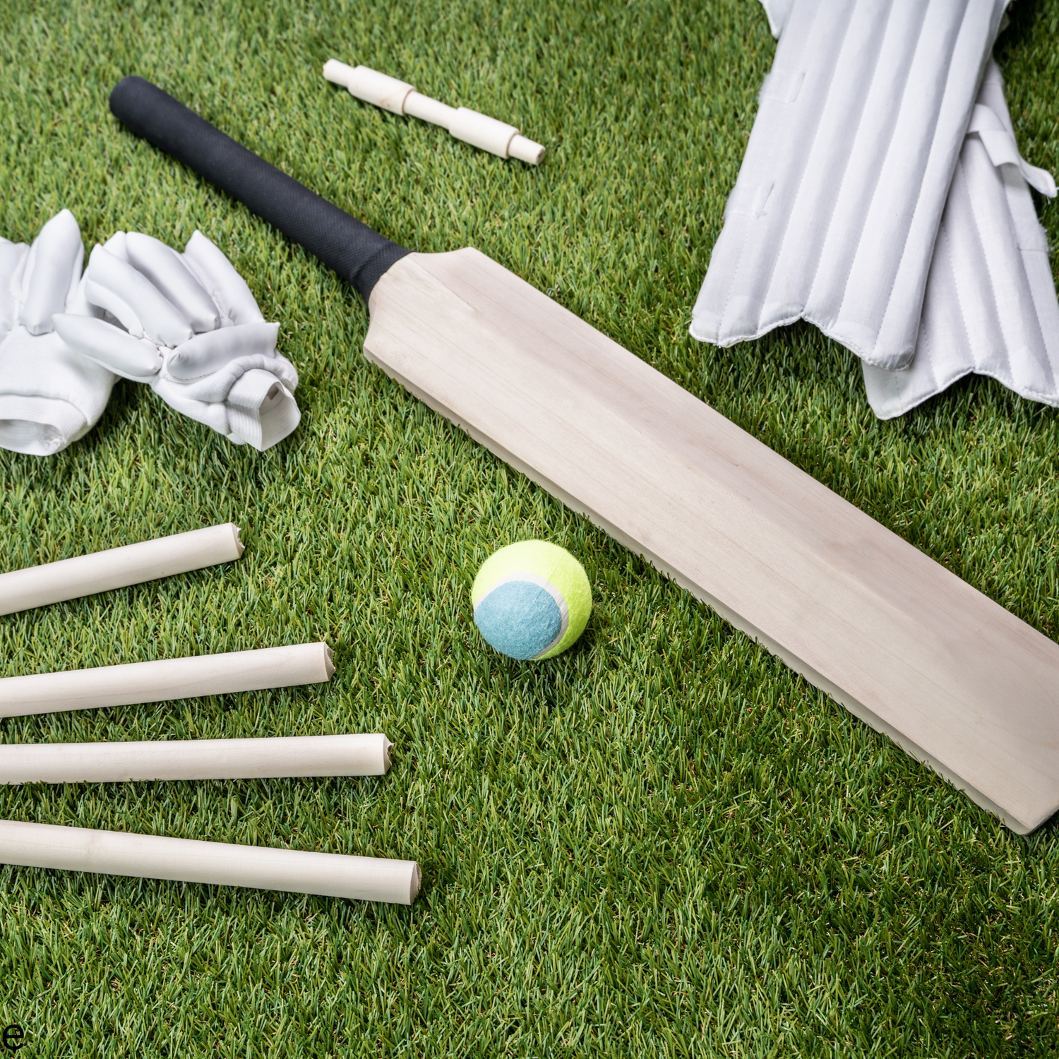 Cricket Bats & Accessories