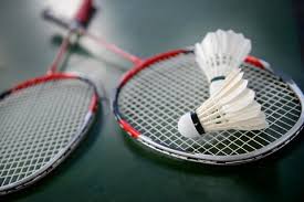 Badminton Acessories